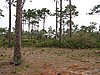 IMG_1228.JPG