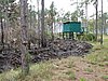 IMG_1231.JPG