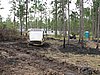 IMG_1233.JPG