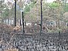 IMG_1244.JPG