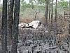 IMG_1247.JPG
