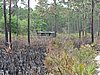 IMG_1248.JPG