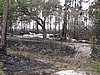 IMG_1250.JPG