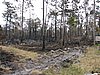 IMG_1252.JPG