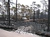 IMG_1254.JPG