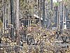 IMG_1259.JPG