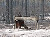 IMG_1265.JPG