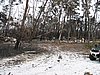 IMG_1281.JPG
