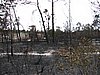 IMG_1282.JPG