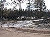 IMG_1293.JPG