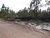 IMG_1294.JPG