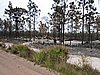 IMG_1296.JPG