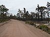 IMG_1297.JPG