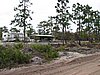 IMG_1298.JPG