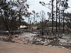 IMG_1299.JPG