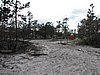 IMG_1303.JPG