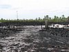 IMG_1305.JPG