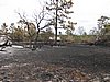 IMG_1308.JPG